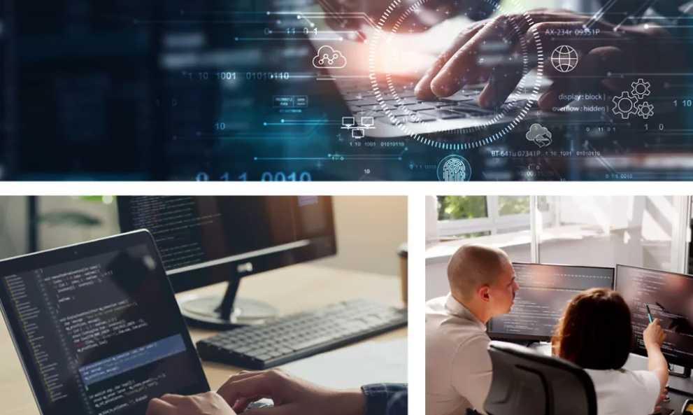 Custom Software Development