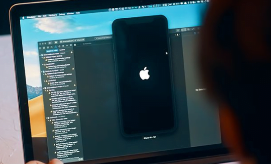 Custom iOS App Development
